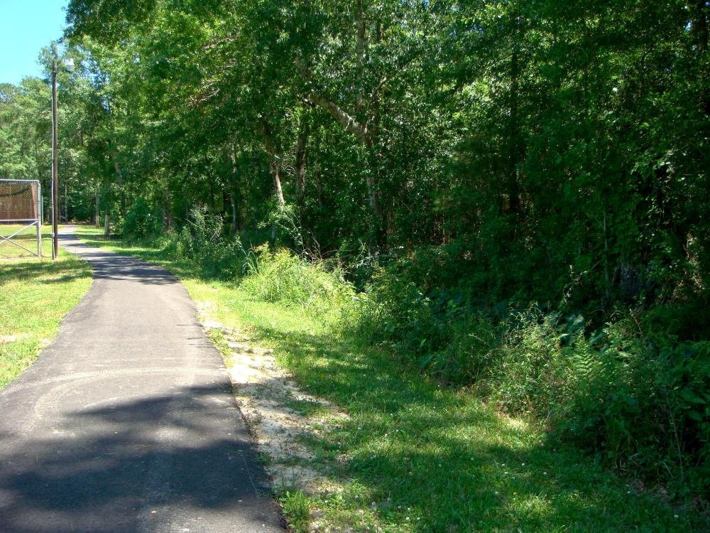 Possum Hollow Park景点图片