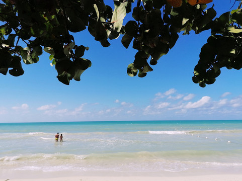 Merrils Beach Resort III主图