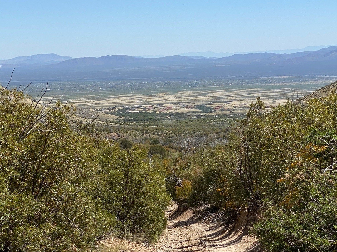 Ash Canyon Trail One Hundred Four景点图片