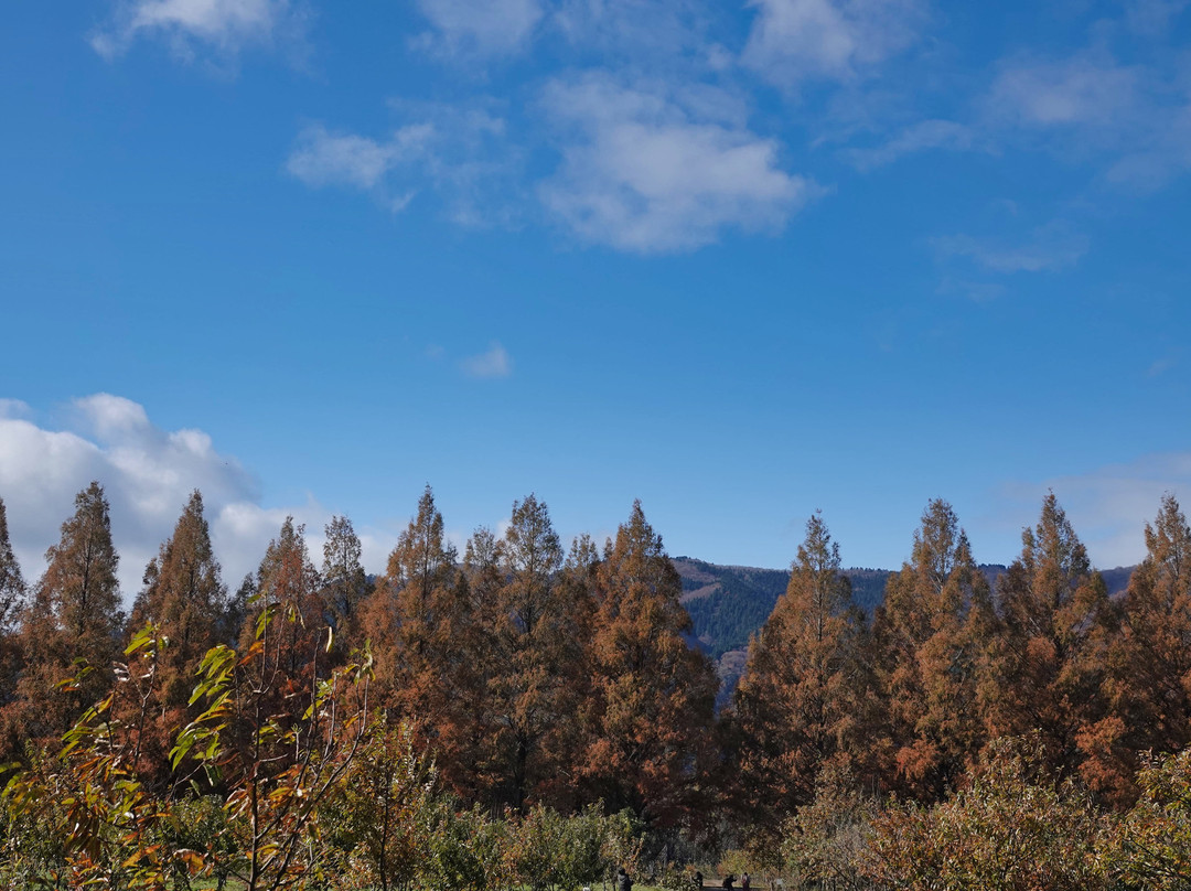Makino Highland-高岛市必去景点