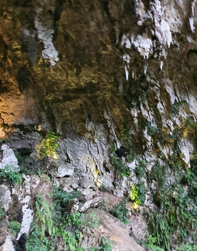 Gua Maria Tritis景点图片