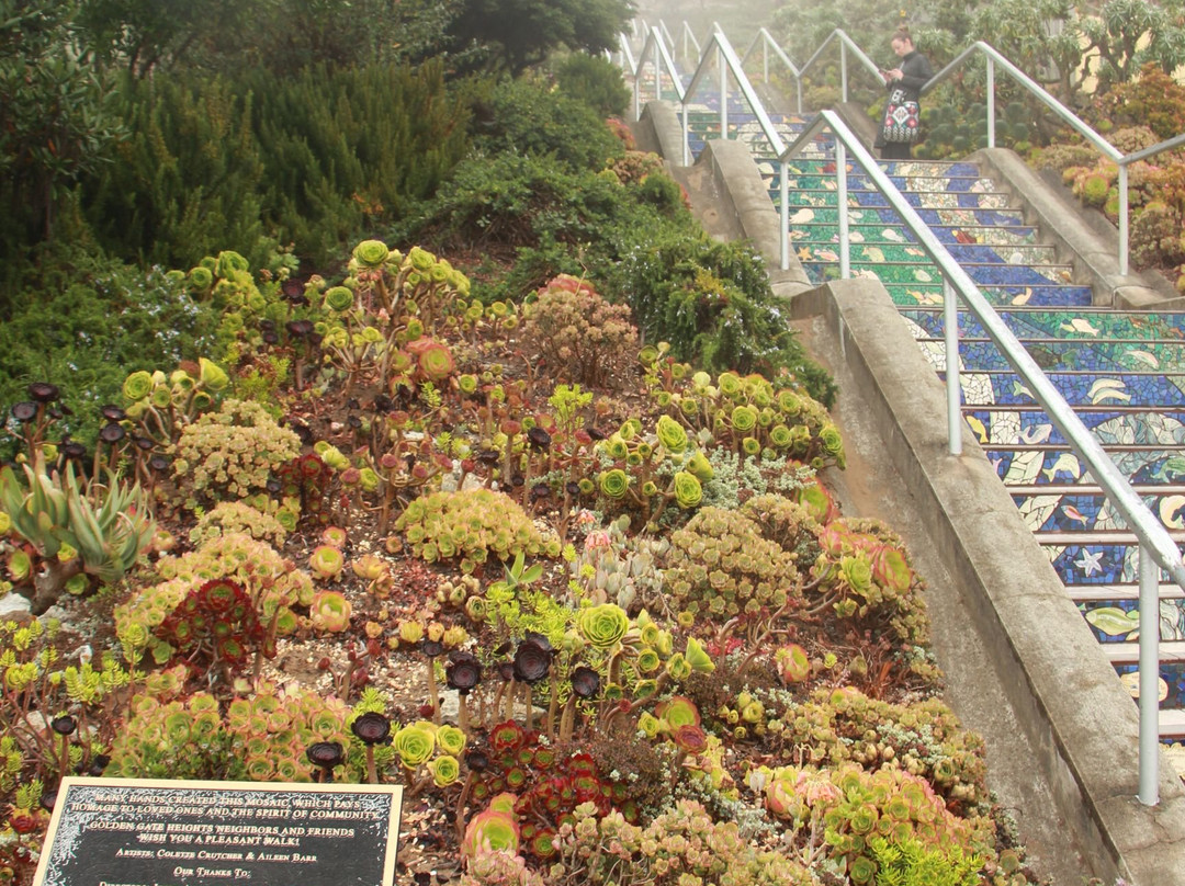 马赛克艺术阶梯-旧金山必去景点