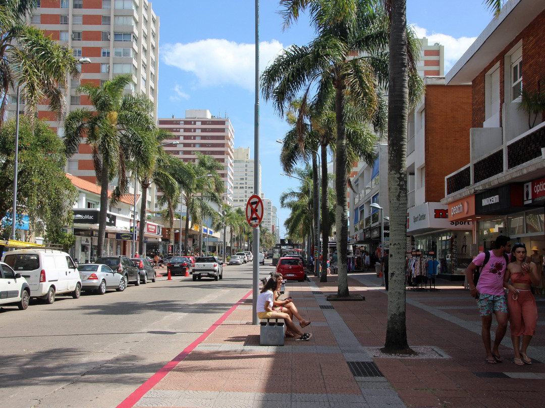 Calle 20-埃斯特角城必去景点