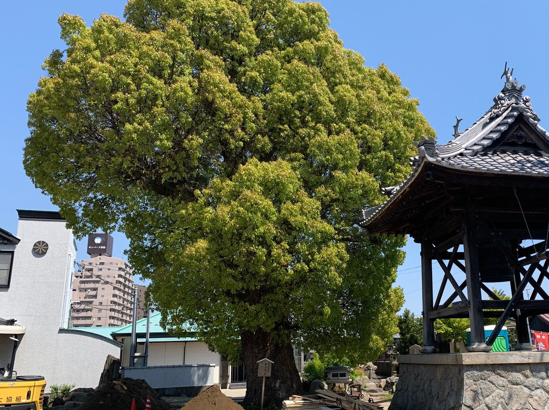 Hosen-ji Temple景点图片