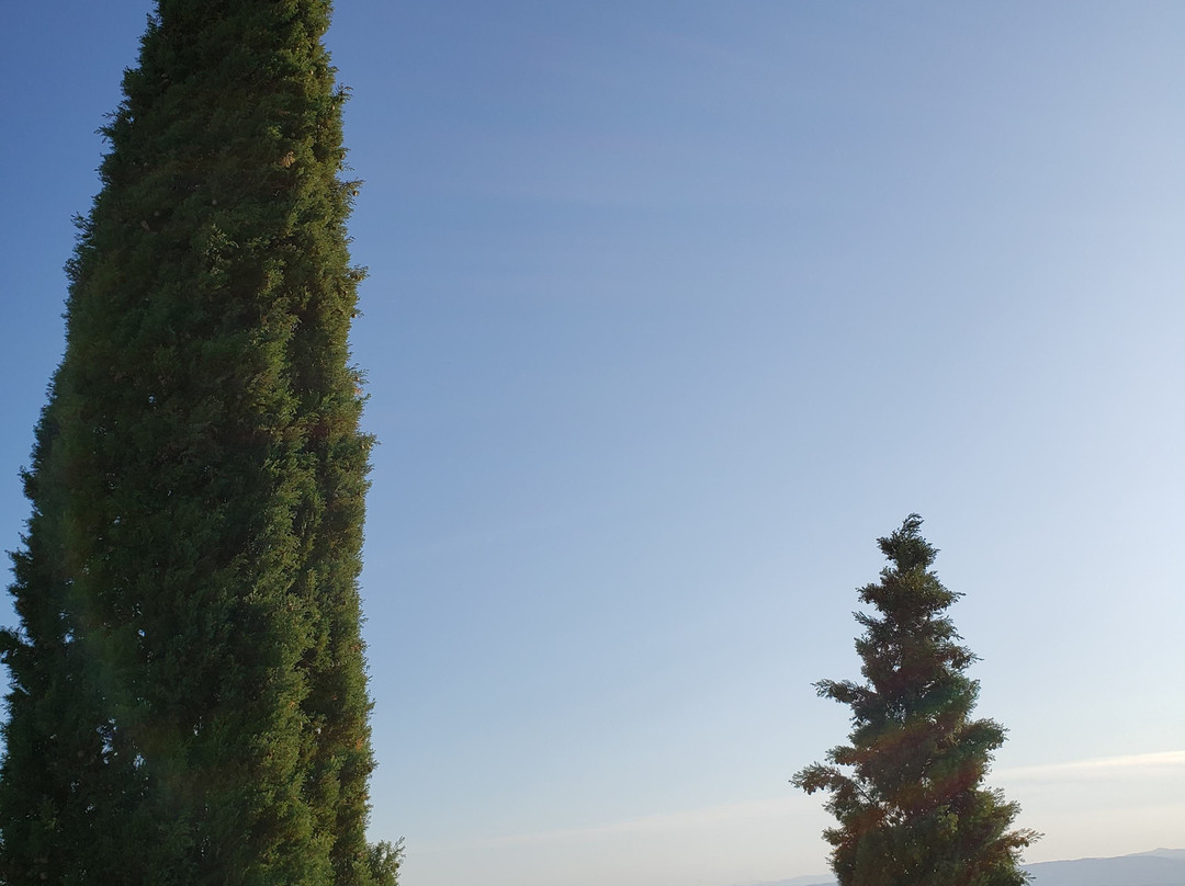 Poggio Antico Vineyards-蒙塔尔奇诺必去景点