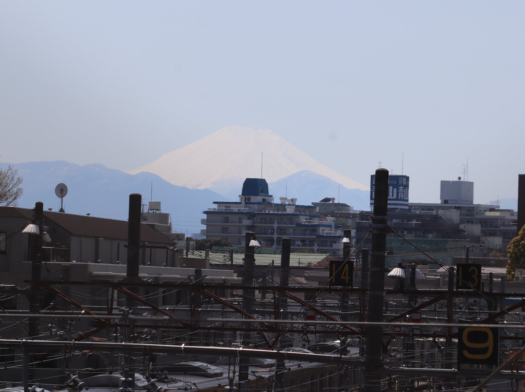 Mitaka Tram Shed Kosenkyo Bridge-三鹰市必去景点