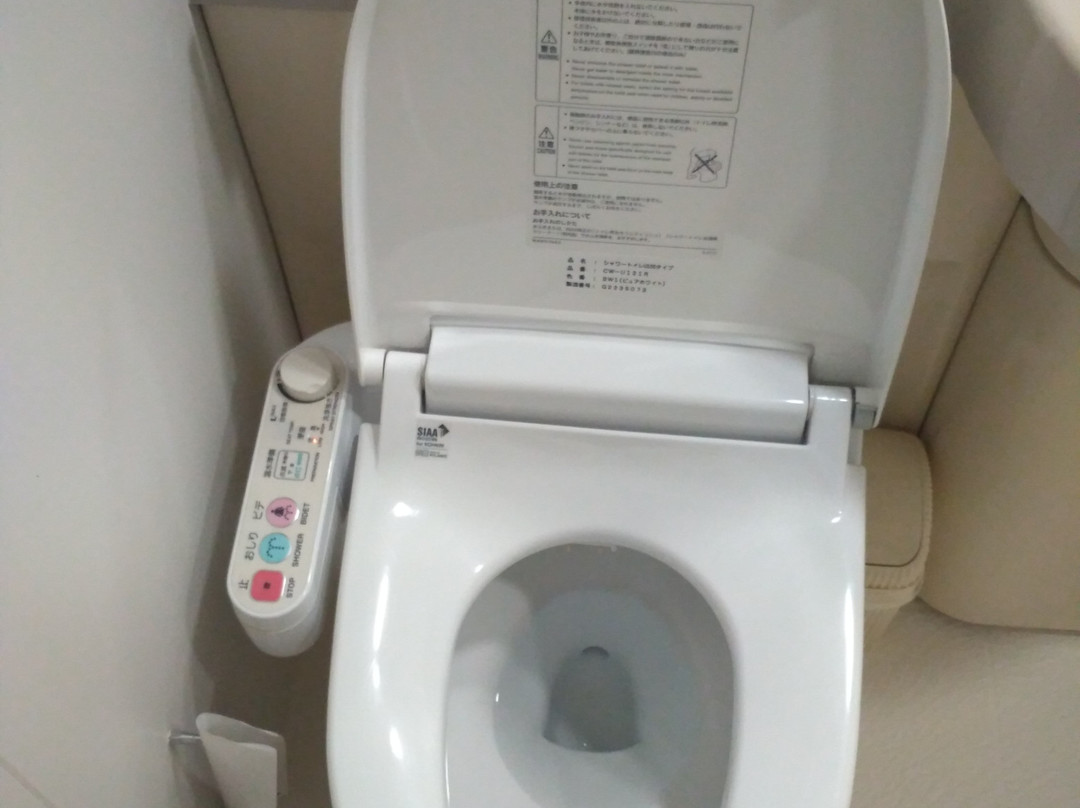 广岛大和ROYNET酒店主图