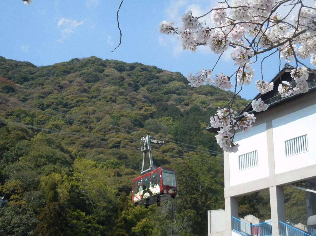 Iwakunijo Ropeway景点图片