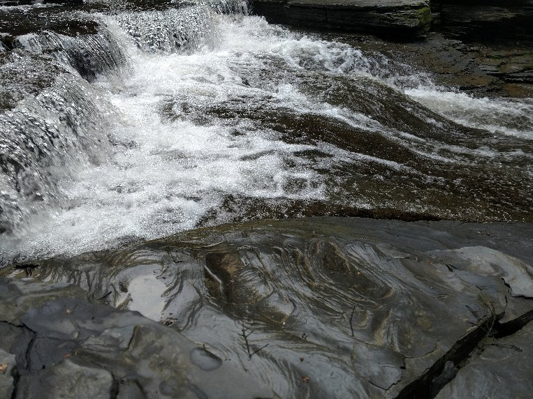 Havana Glen Park景点图片