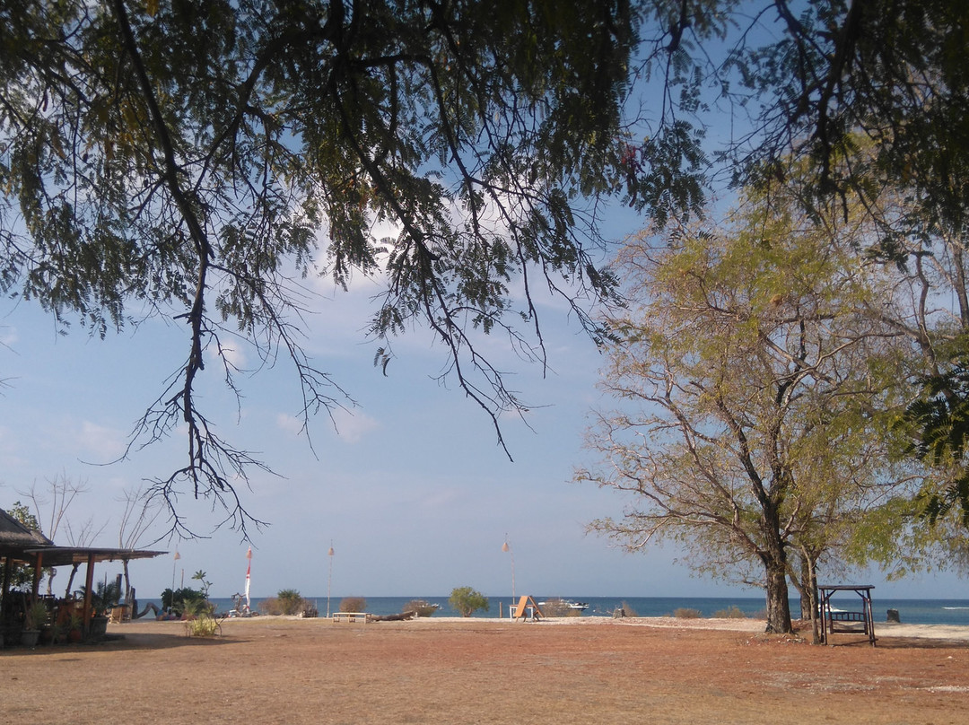 Thamarind Resort主图