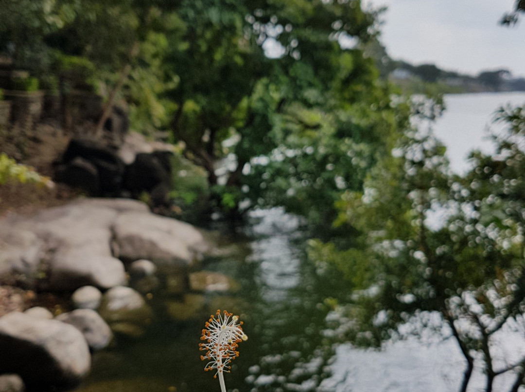 Kantale Lake-Kantale必去景点
