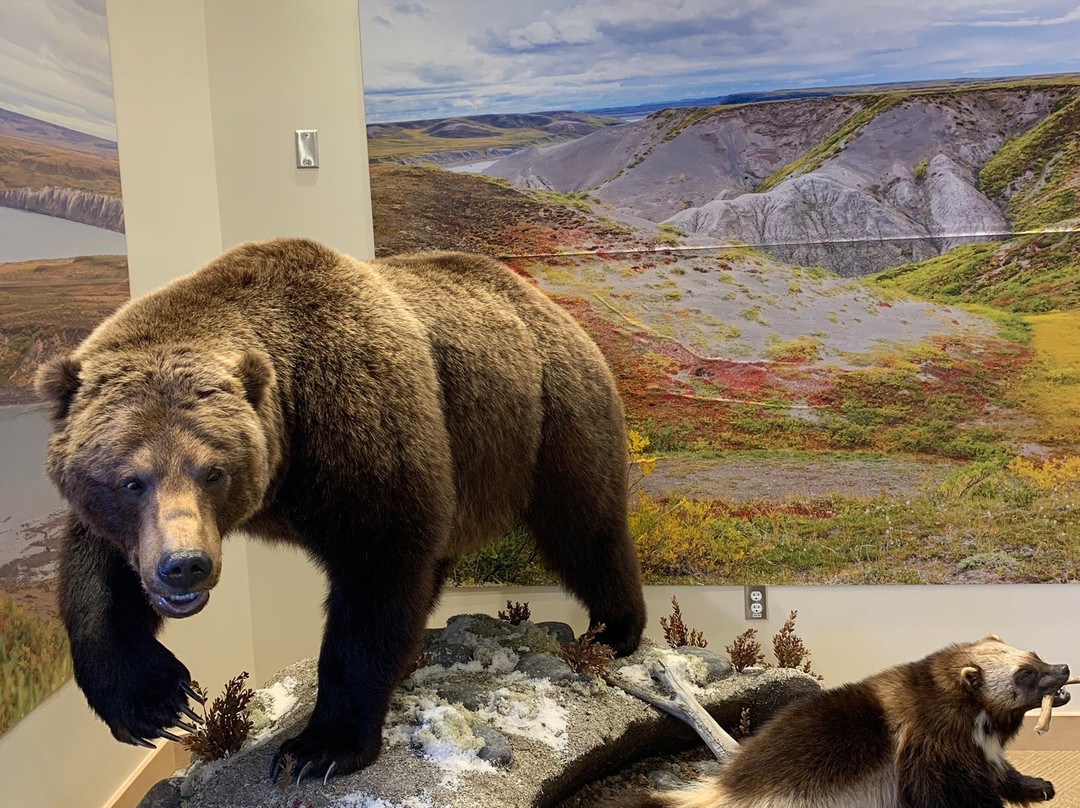 Kugluktuk Visitor Heritage Centre-Kugluktuk必去景点