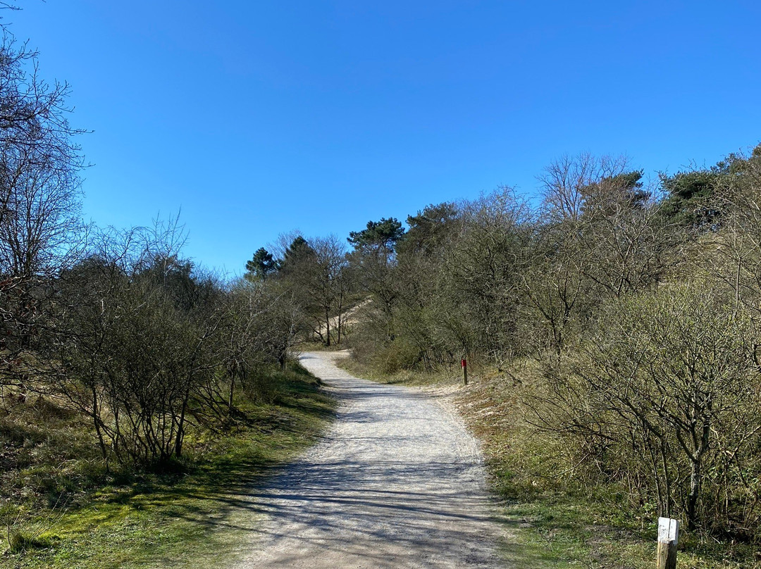 Duinreservaat Meijendel-Kievietsduin-Wassenaar必去景点