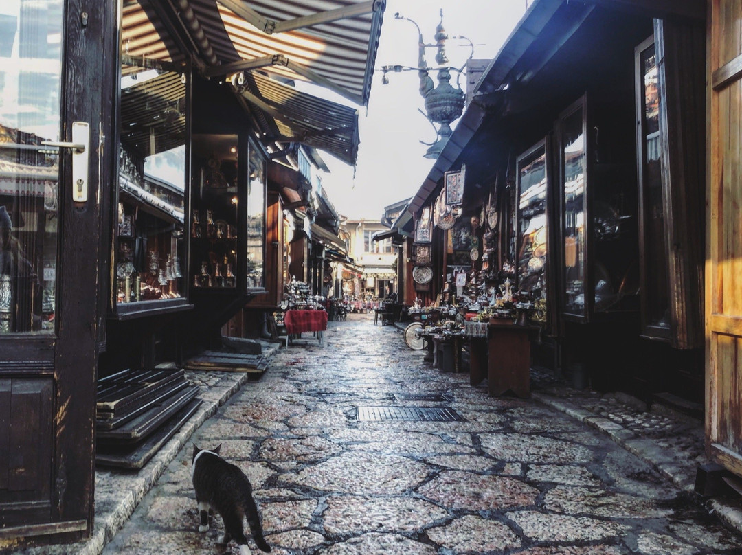 Tallest Tourguide Tours and Excursions-萨拉热窝必去景点