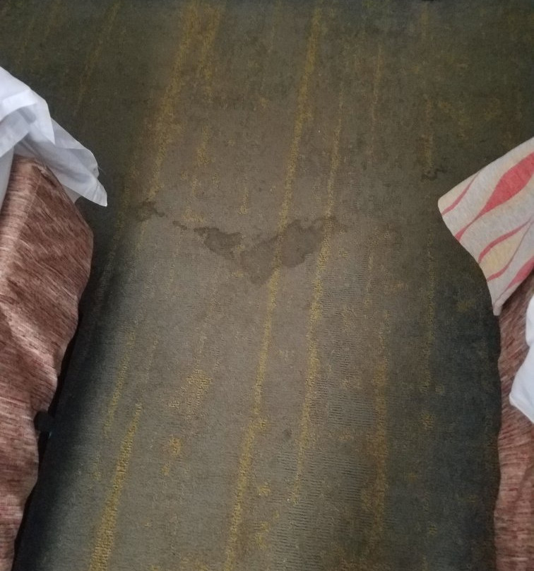 Best Western Inn Of Palatka主图