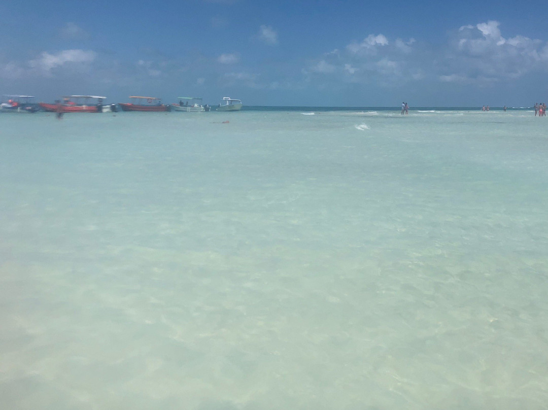 Marina La Bonita-从莫雷洛斯港必去景点