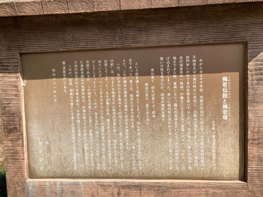 Manzo-ji Temple-春日部市必去景点