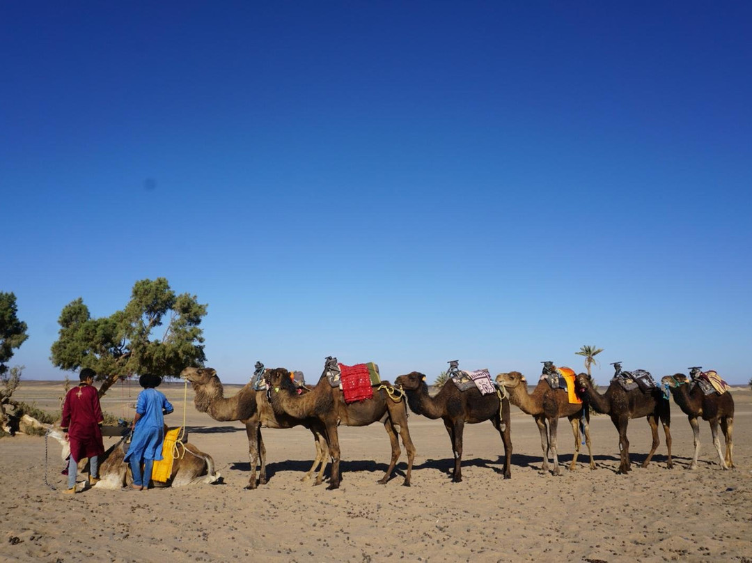 Morocco Nomads Tours-非斯必去景点