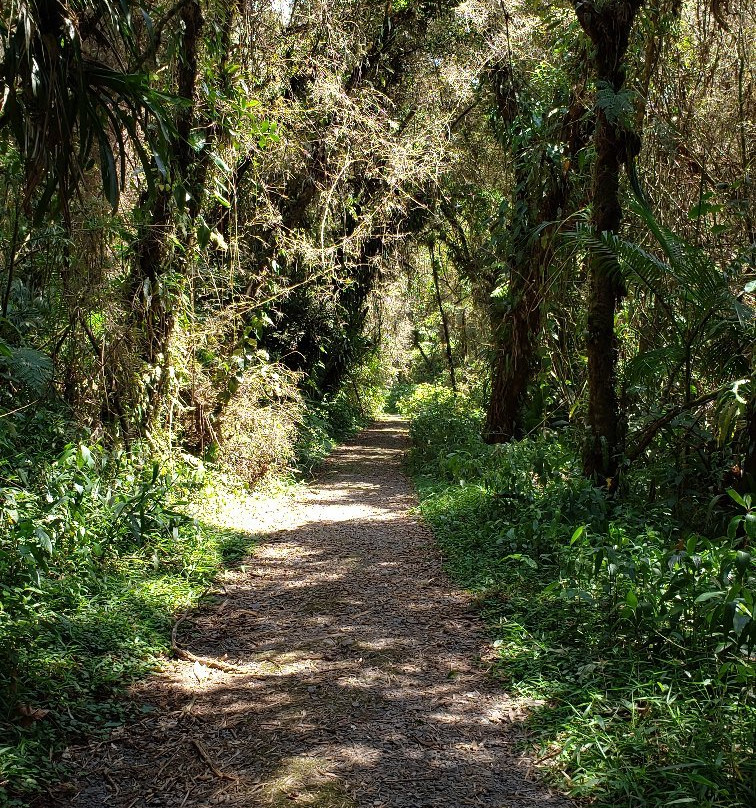 Castelo dos Bugres-Joinville必去景点