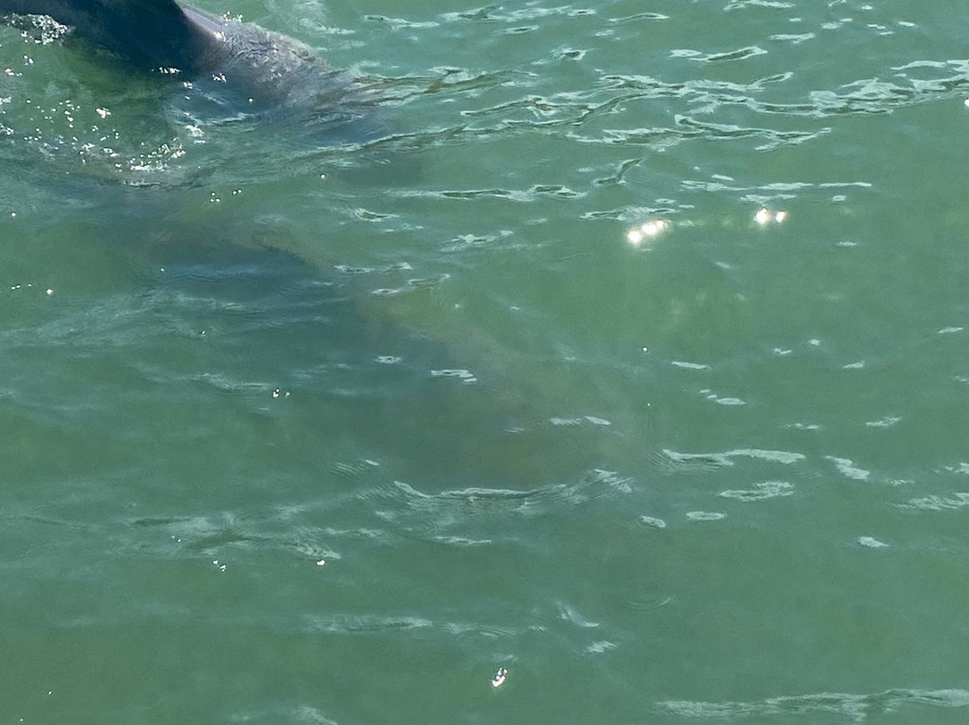 Just Add Water and Sun-那不勒斯必去景点