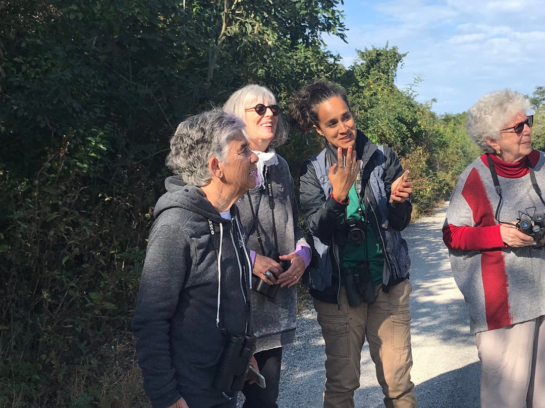 Reserva Toh-从莫雷洛斯港必去景点