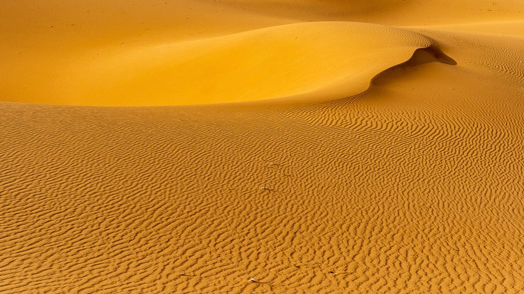 Desert Star Travel-马拉喀什必去景点