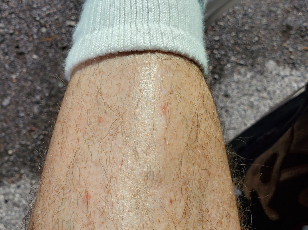 Southern Inn Lumberton主图