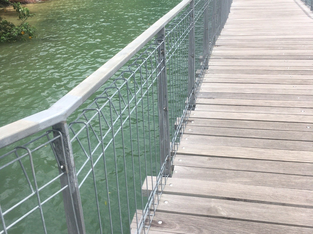 Chek Jawa-乌敏岛必去景点