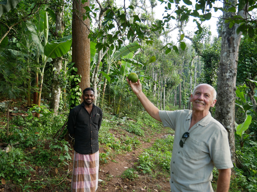 Rajakkad Estate主图