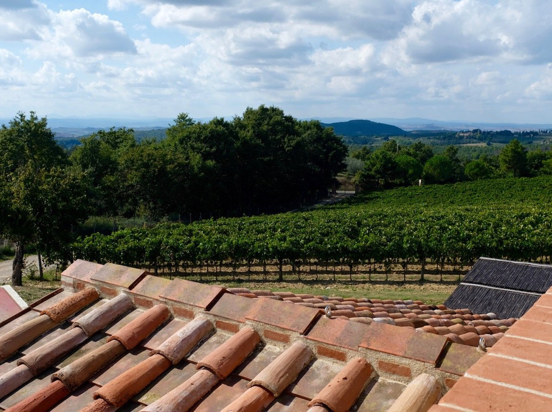 Buli Vineyard & Winery- Podere Collalto景点图片