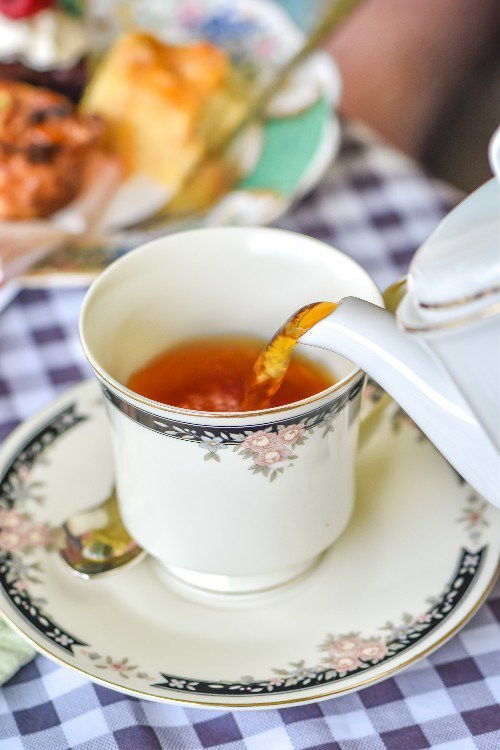 Pattemore House-North Maleny必去景点