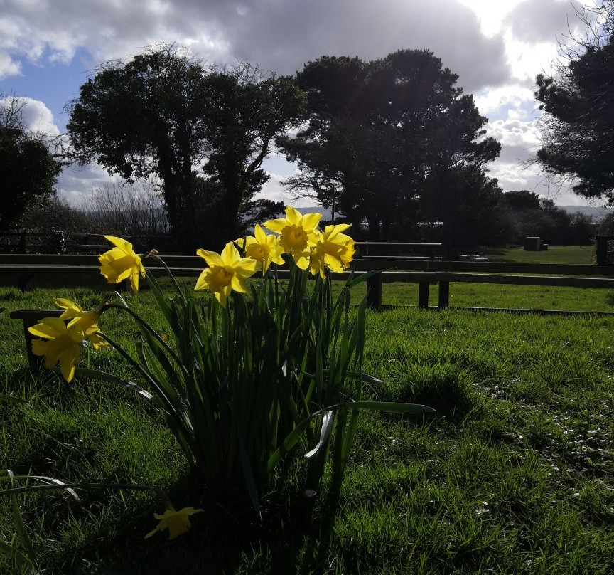 Thurstaston Visitor Centre-Thurstaston必去景点