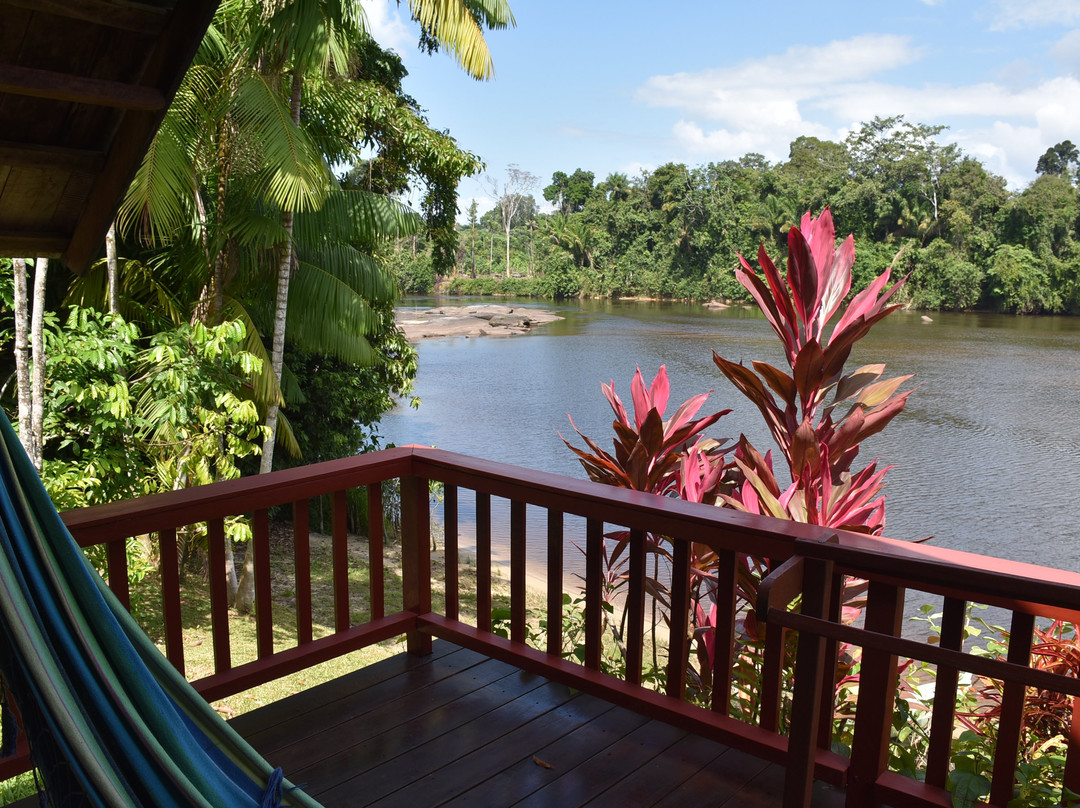 Danpaati River Lodge主图