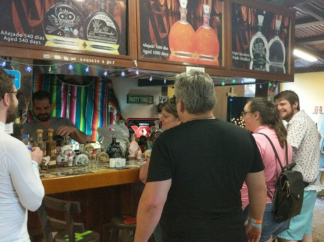 Tequila Factory Cancun and Villas-从莫雷洛斯港必去景点