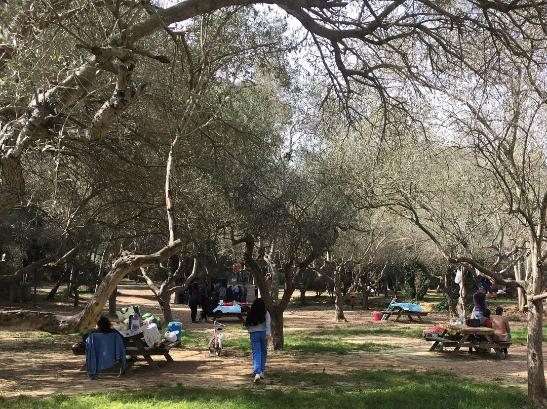 Masia d'en Cabanyes-比利亚努埃瓦－赫尔特鲁必去景点