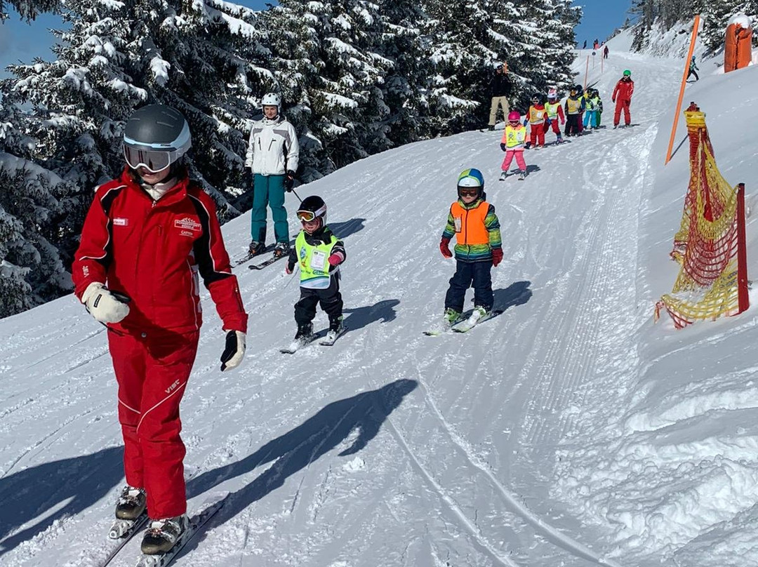 Ski School Dorfgastein Holleis景点图片