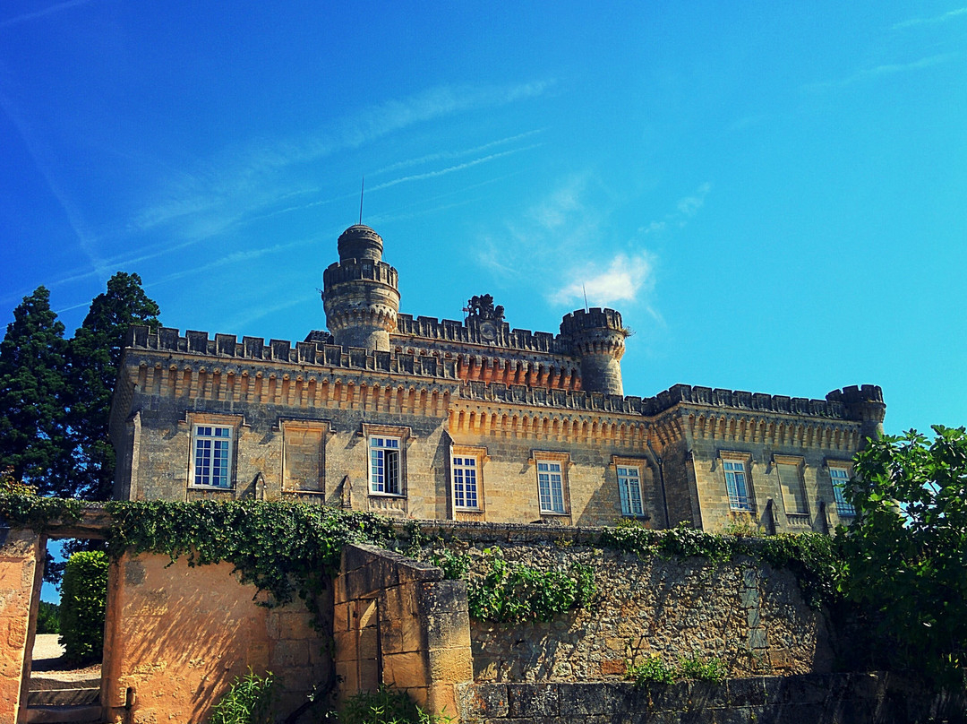 Chateau de Camarsac景点图片