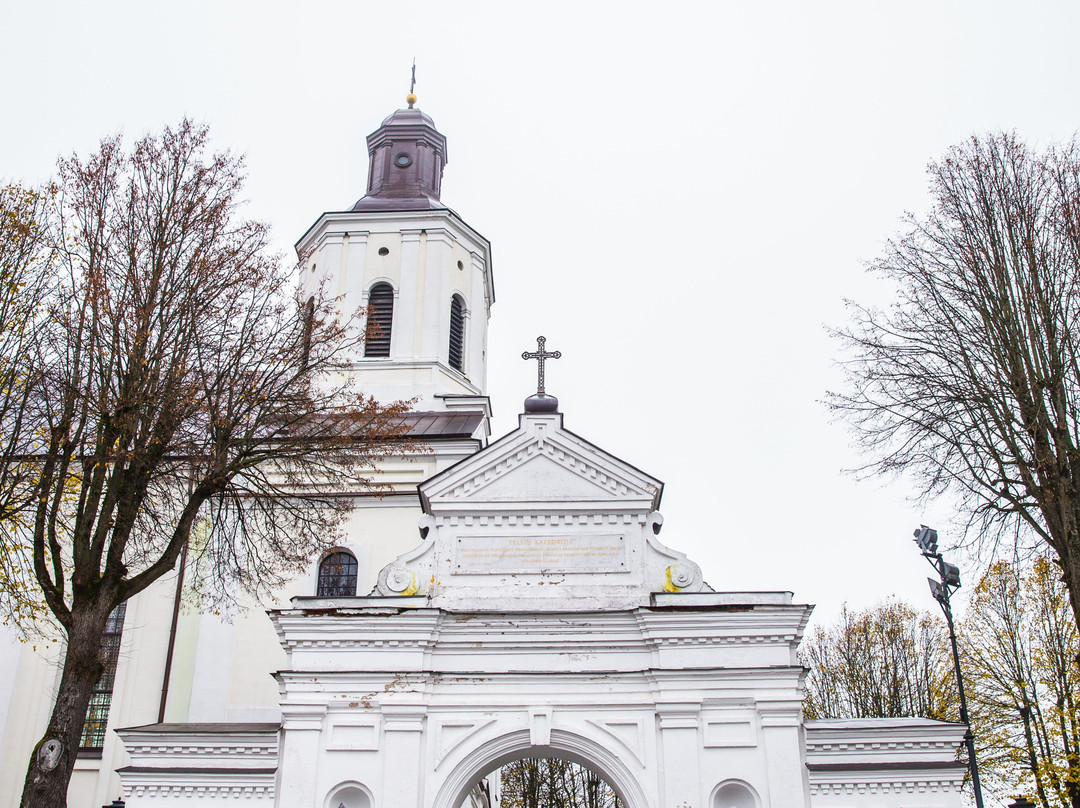 Telšiai Cathedral-特尔希艾必去景点