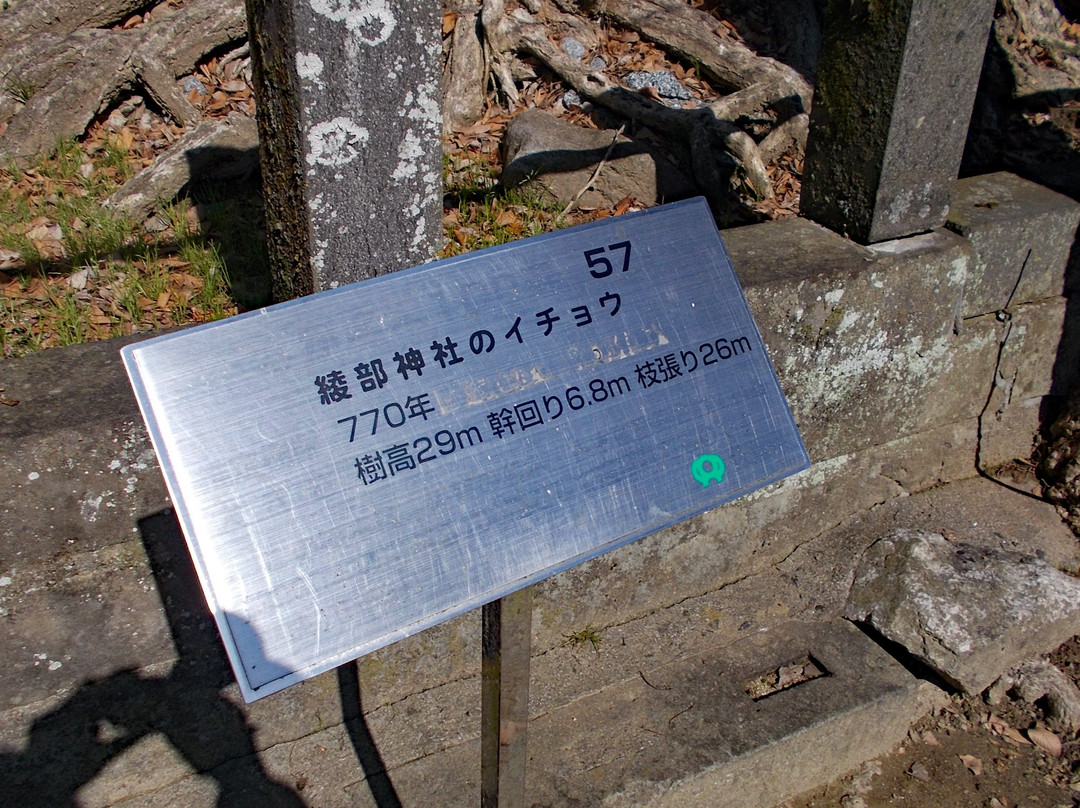 Ayabe Hachiman Shrine景点图片