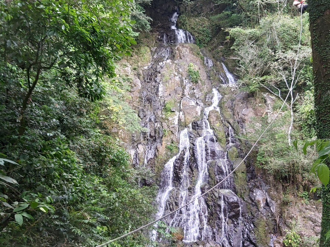 Canopy Adventure景点图片