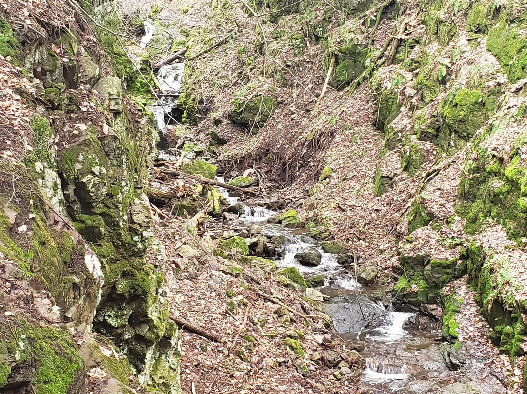 Porcupine Mountains Wilderness State Park-昂托纳贡必去景点