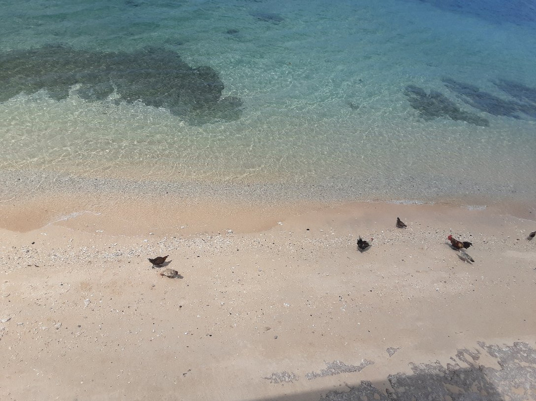 Green Coconut Guest House主图