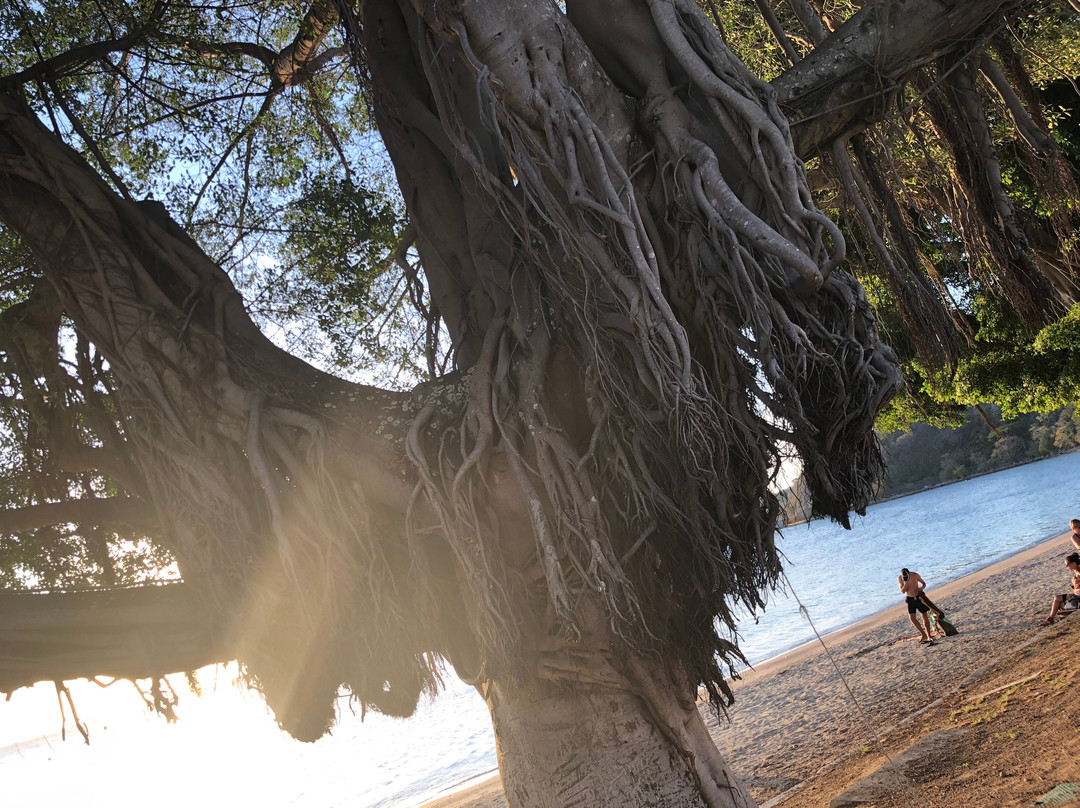 Lemon Bay-努美阿必去景点
