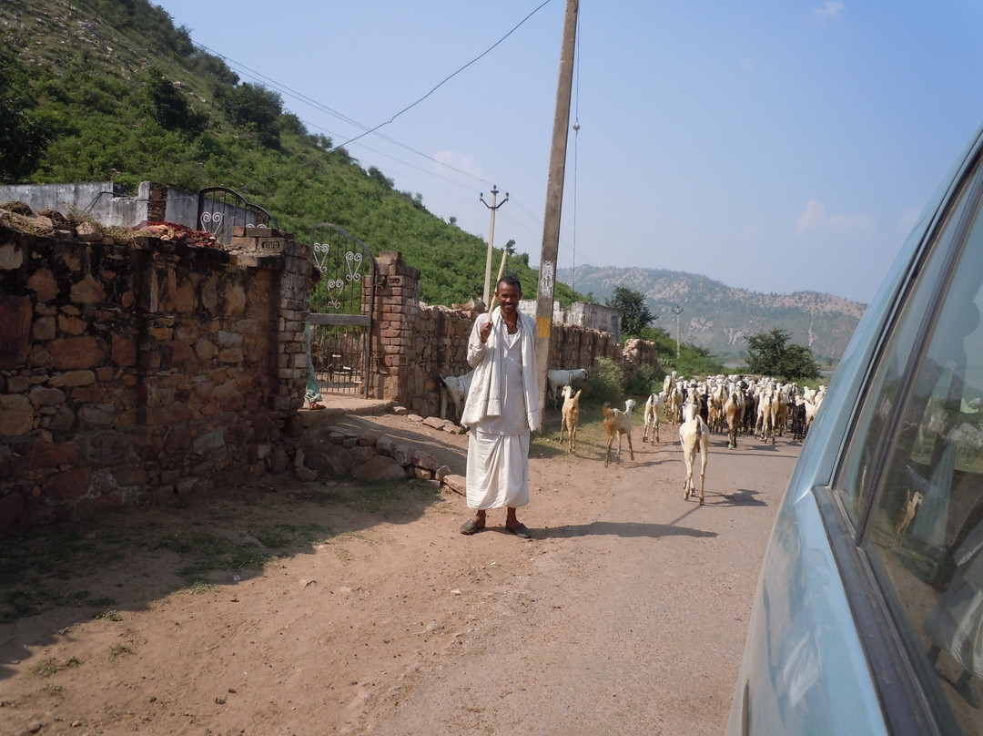 Naldeshwar Shrine景点图片
