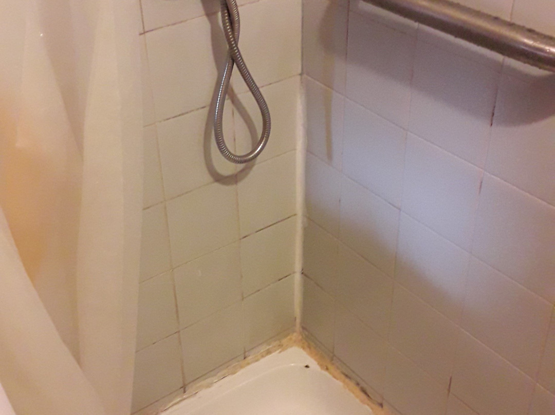 Hostal y Cabanas Don Juan主图