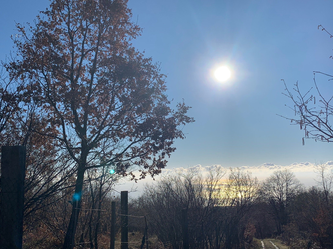 Agriturismo Feudo Magazzeni主图