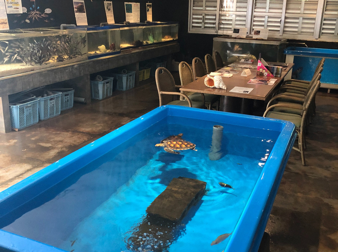 Kuroshima Research Institute景点图片