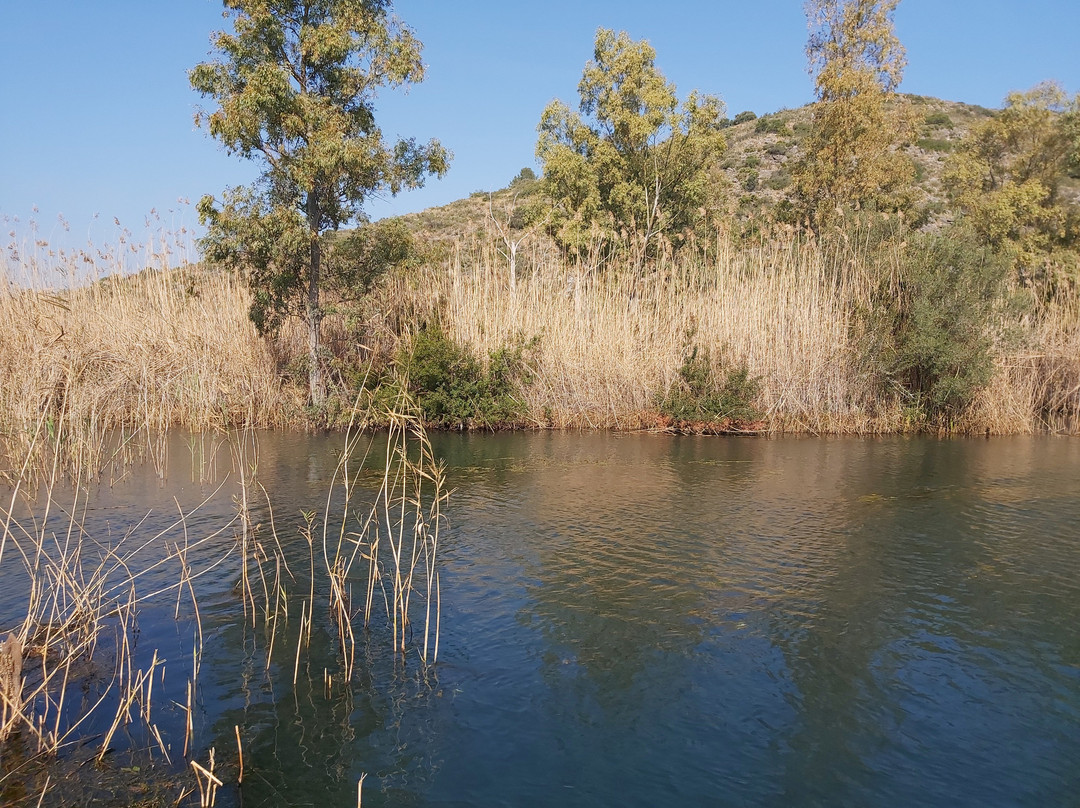 Parque Natural del Marjal de Pego-Oliva景点图片