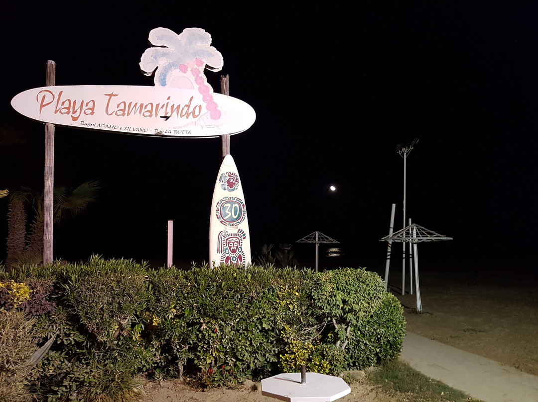 Playa Tamarindo景点图片