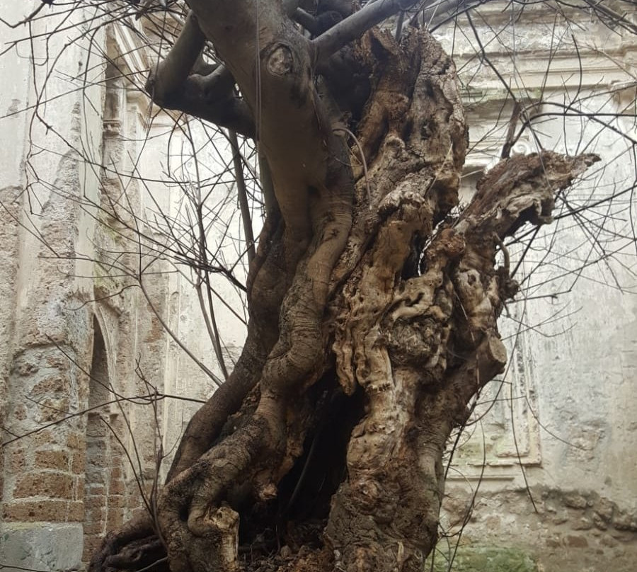 Riserva Naturale Regionale Monterano - Canale Monterano (RM)-布拉恰诺必去景点